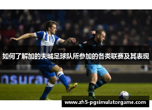 如何了解加的夫城足球队所参加的各类联赛及其表现 如何了解加的夫城足球队所参加的各类联赛及其表现